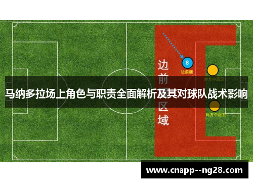 马纳多拉场上角色与职责全面解析及其对球队战术影响